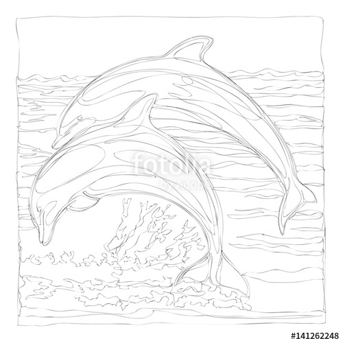 500x500 Beautiful Dolphins Line Art Continuous Line Drawing Stock Image