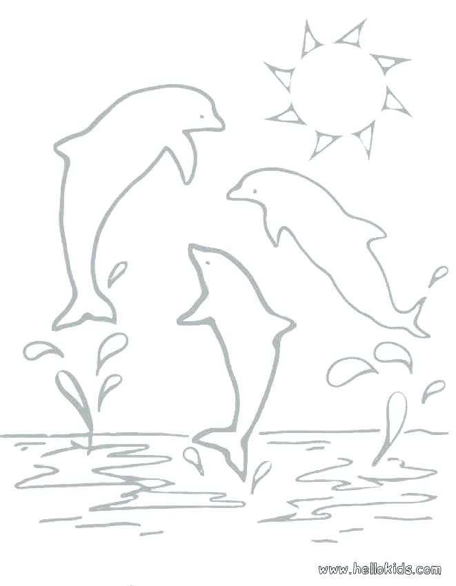 661x850 Dolphin Coloring Sheet