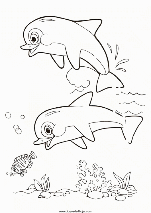530x748 Pictures Of Dolphins To Color Archives Drawing Drawings