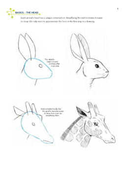 250x350 Learn To Draw Animals