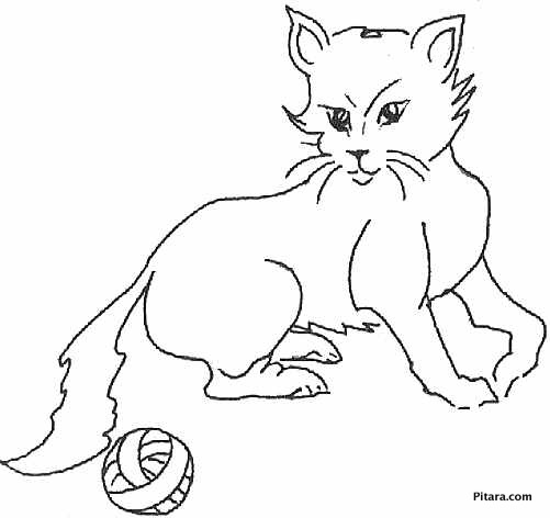 Domestic Animals Drawing Pictures at GetDrawings | Free download