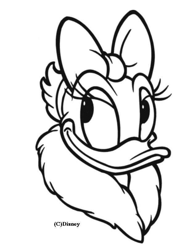 600x800 Donald Duck