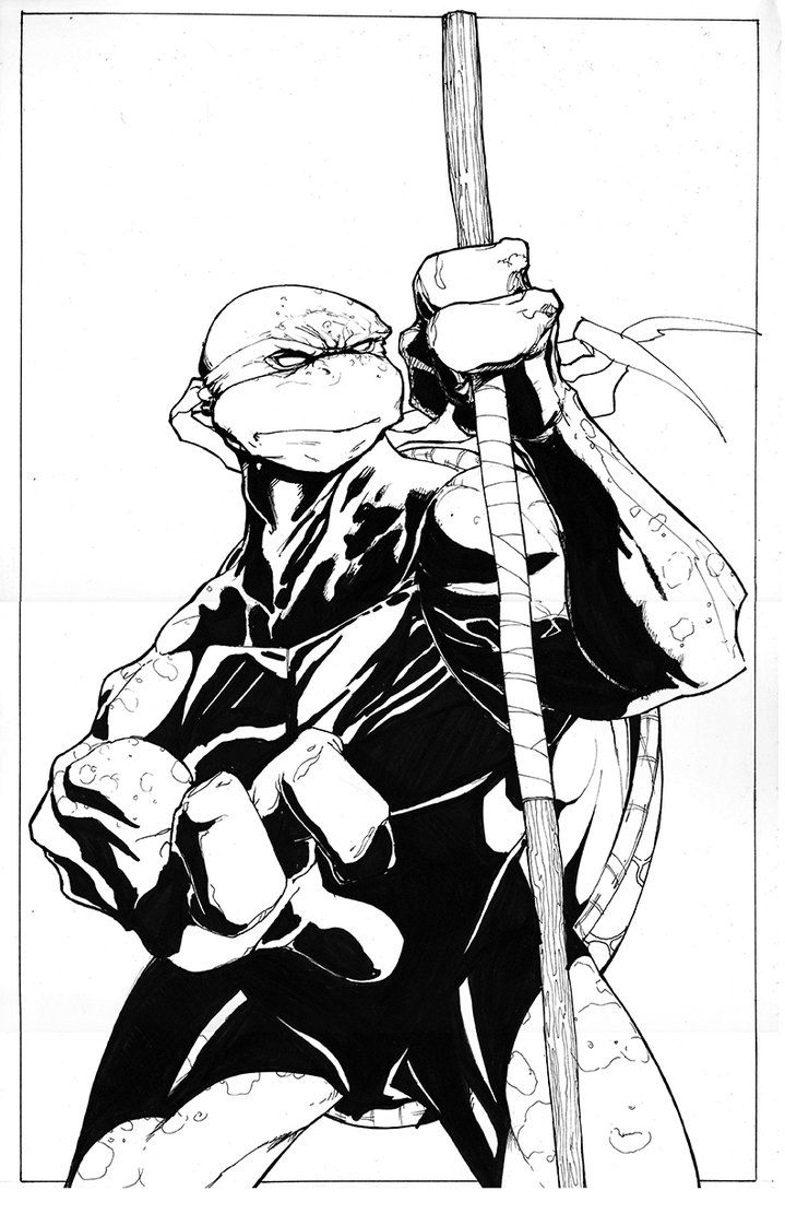 719x1111 Donatello Tmnt By Jjakec