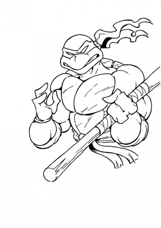 Donatello Ninja Turtle Drawing at GetDrawings | Free download