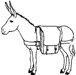Donkey Drawing