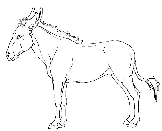 655x530 Donkey Line By Prinzeburnzo