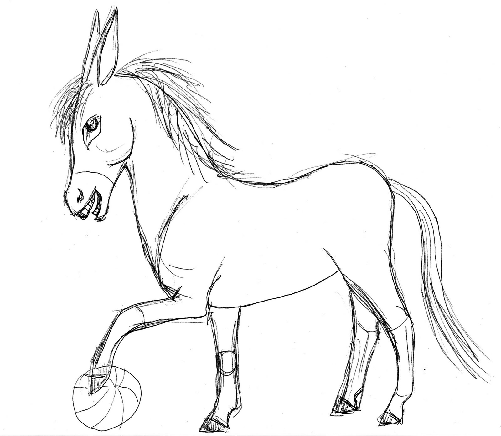 1600x1394 Drawing And Painting Basketball Donkey