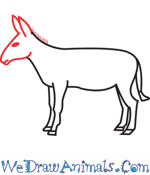 300x350 How To Draw A Donkey