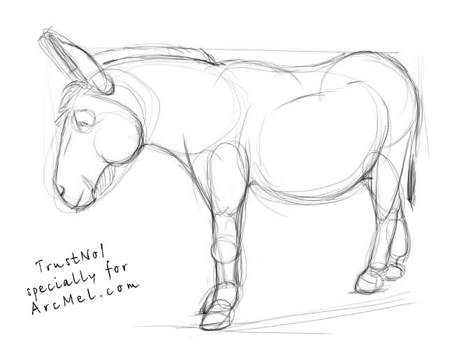 667x500 How To Draw A Donkey Step 3 Drawing Donkey
