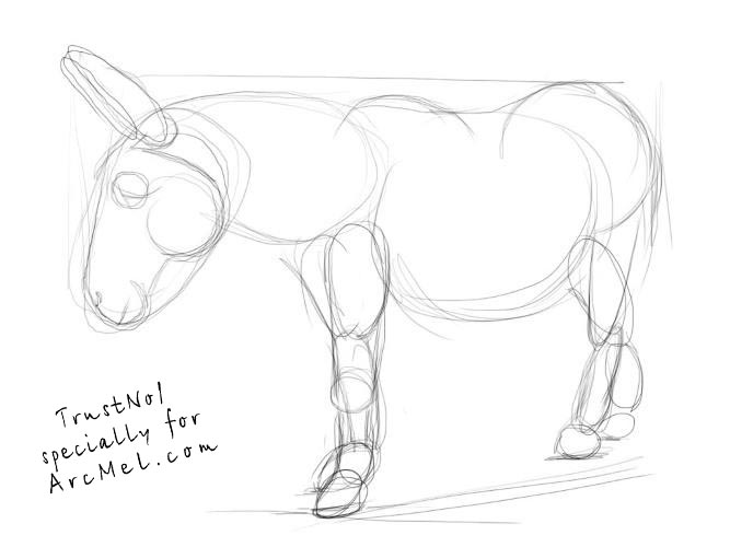 667x500 How To Draw A Donkey Step By Step