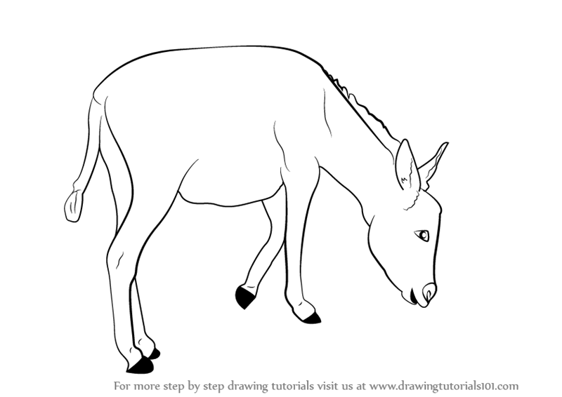 800x566 Learn How To Draw A Donkey (Farm Animals) Step By Step Drawing