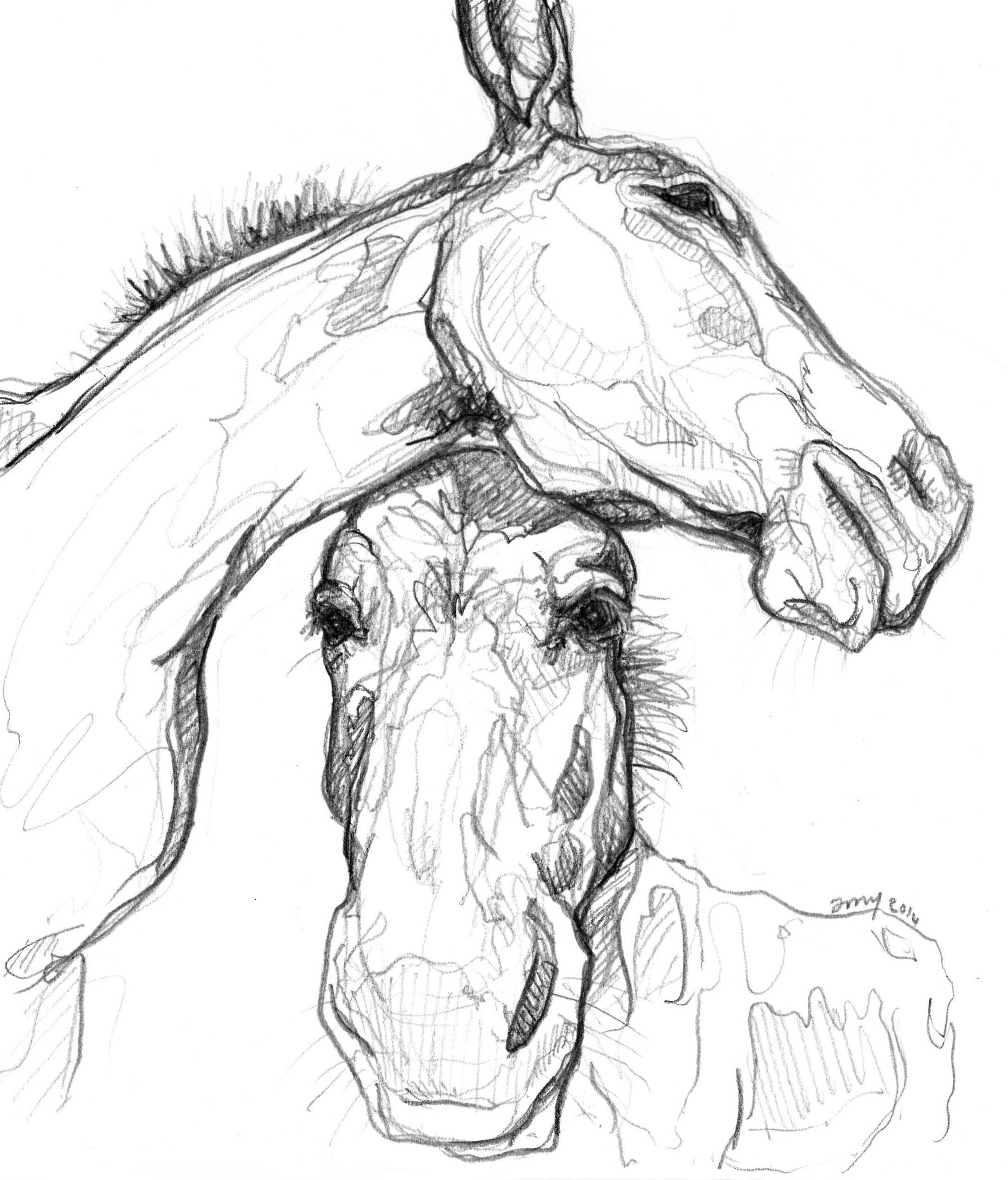 2167x2537 Sketch Art Aims