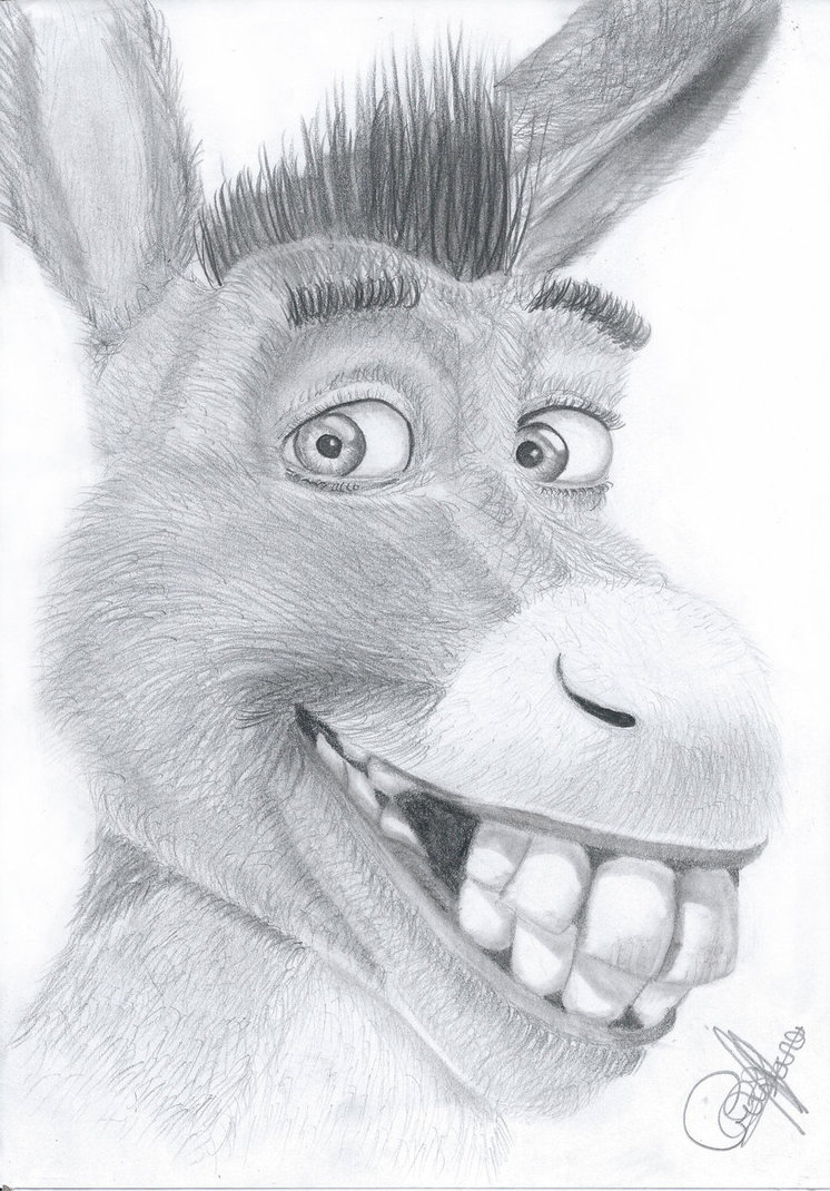 746x1070 Drawn Donkey Animated