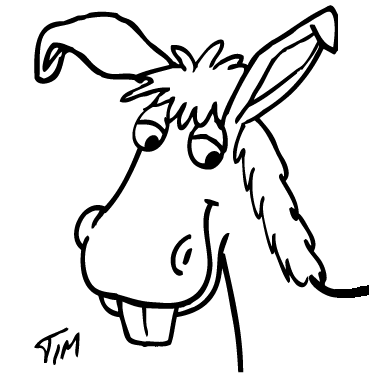 369x373 Easy Donkey Face Drawing