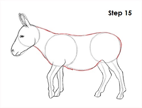 500x380 How To Draw A Donkey