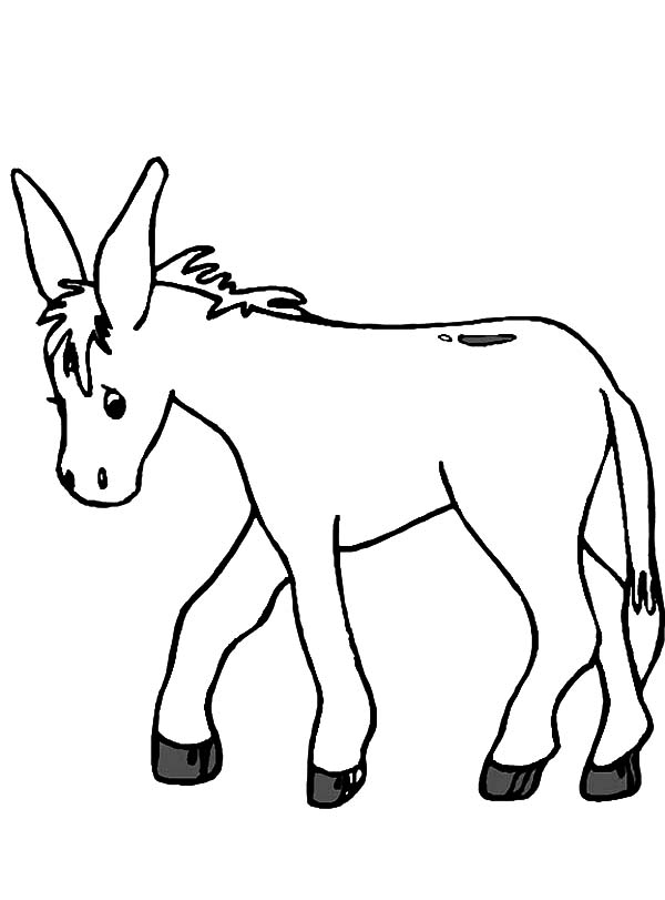 600x811 Donkey Coloring Pages Donkey For Kids Free Coloring Pages On Art