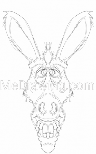 406x650 Donkey Pencil Sketch