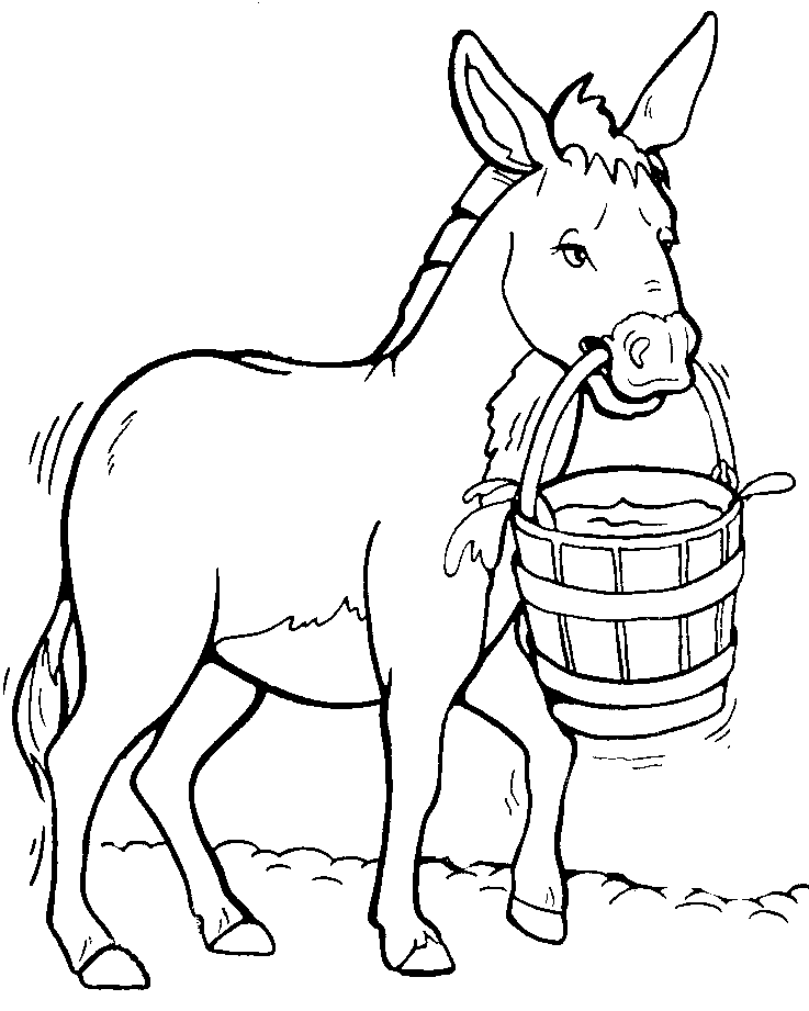 737x921 Donkey Drawing Clipart 2