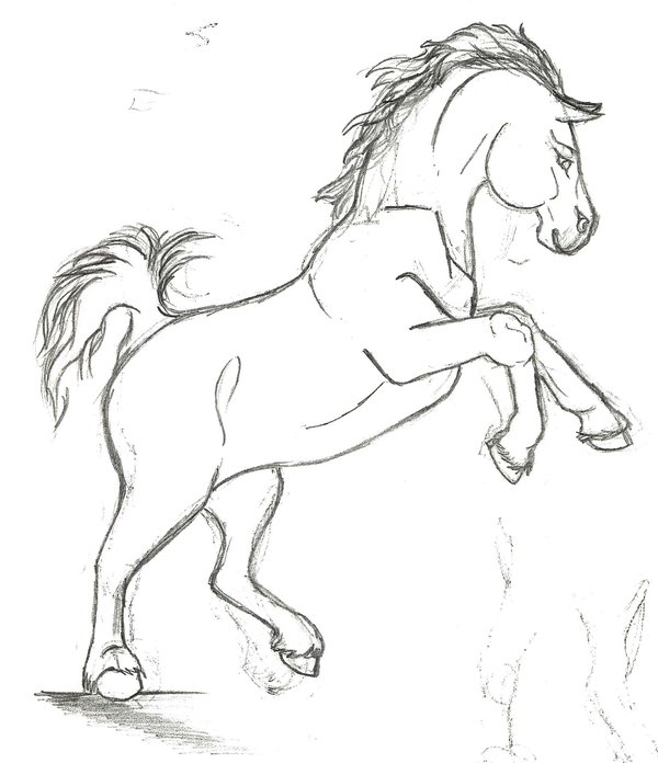 600x696 Free To Use Horse Lines 3 By The Sleeping Donkey