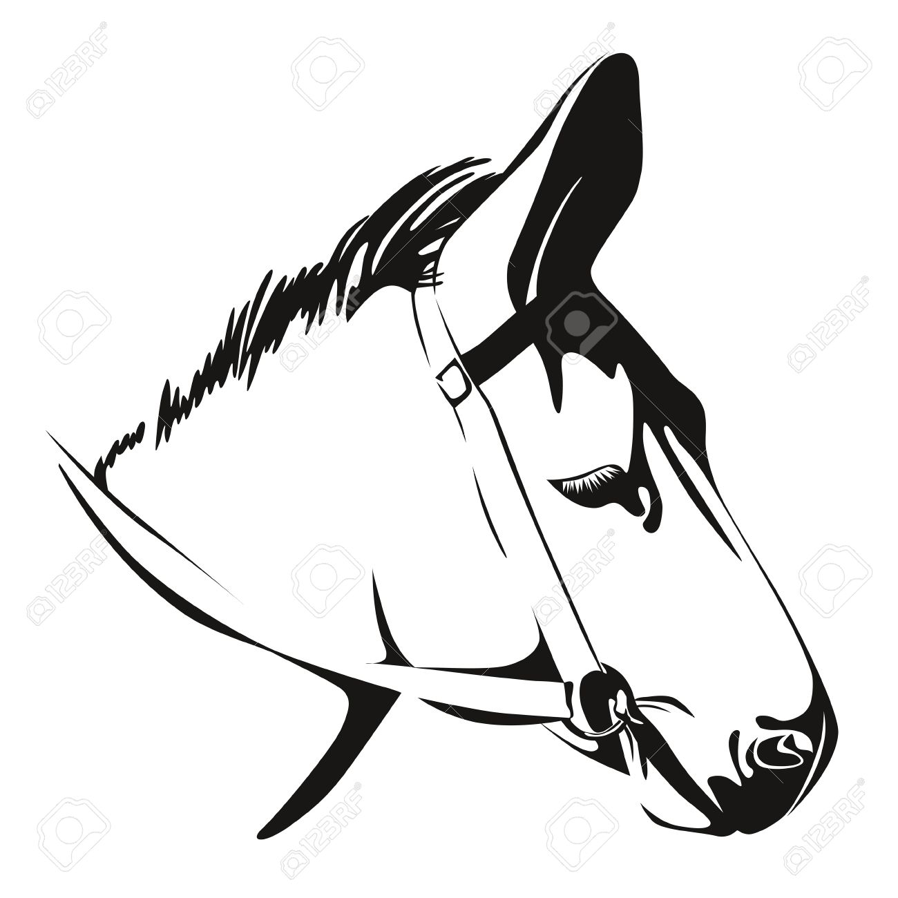 1300x1300 Head Of Donkey Black And White Drawing Royalty Free Cliparts