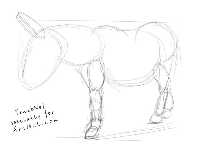 667x500 How To Draw A Donkey Step By Step