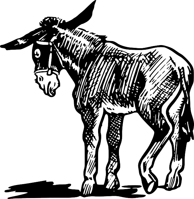 623x640 Drawing, Foot, Shadow, Farm, Donkey, Lift, Animal