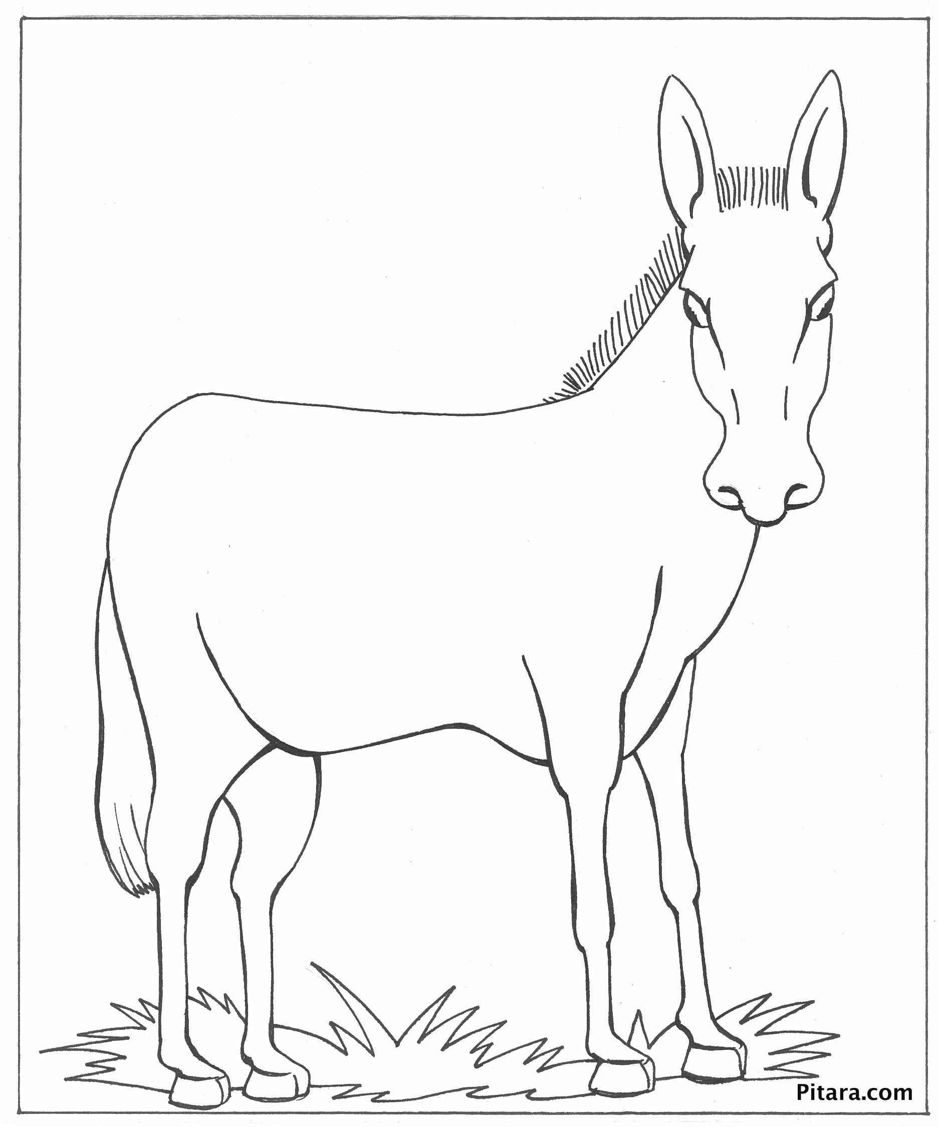1872x2249 Shrek And Donkey Coloring Pages For Kids Luxury Drawn Donkey