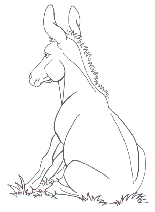 600x819 Sitting Donkey By Kzoocowgirl