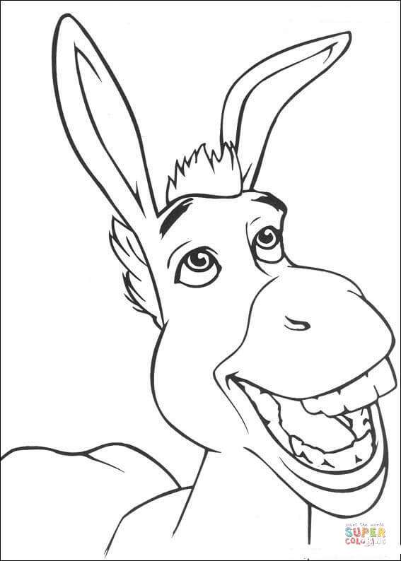 567x794 Smiling Donkey Coloring Page Free Printable Coloring Pages