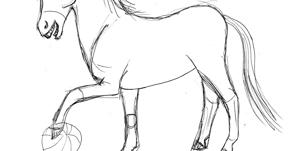 1200x630 Drawing And Painting Basketball Donkey