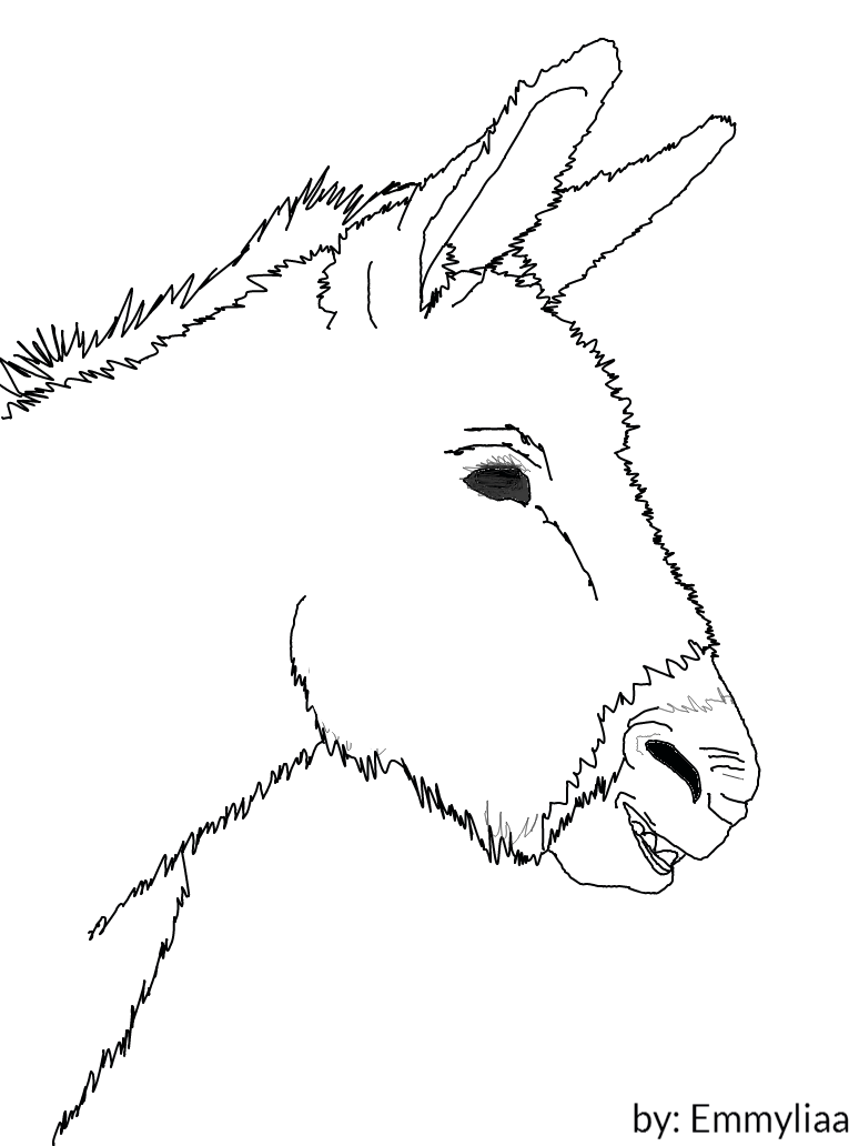 774x1032 Drawn Donkey Donkey Head