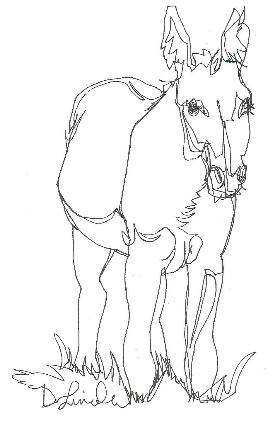 956x1443 Now Or Never Donkey 1