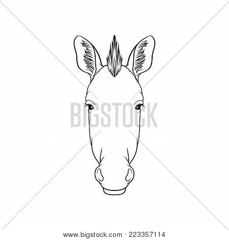 450x470 Zebra Head Images, Illustrations, Vectors
