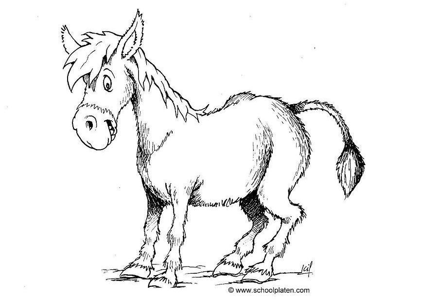874x618 Coloring Page Donkey