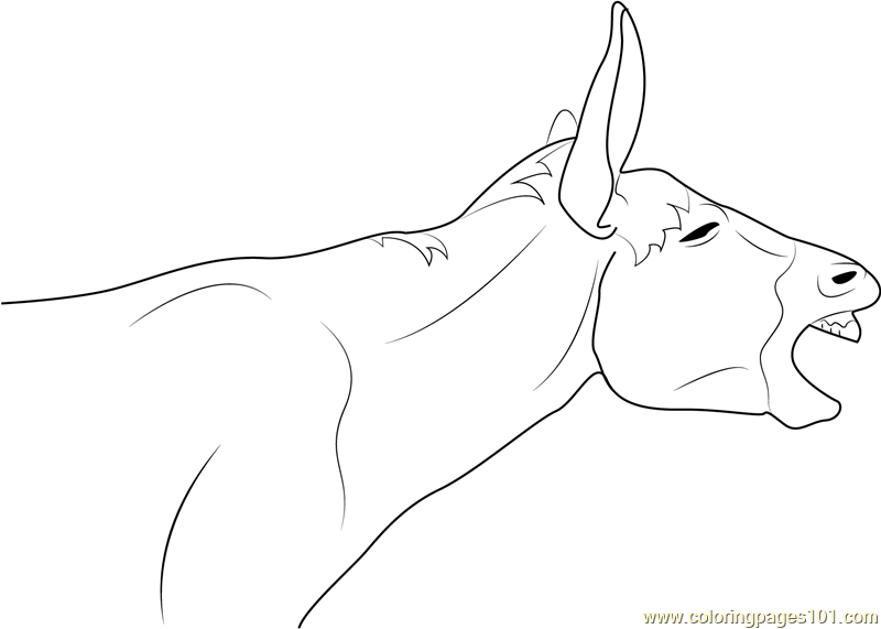Donkey Line Drawing