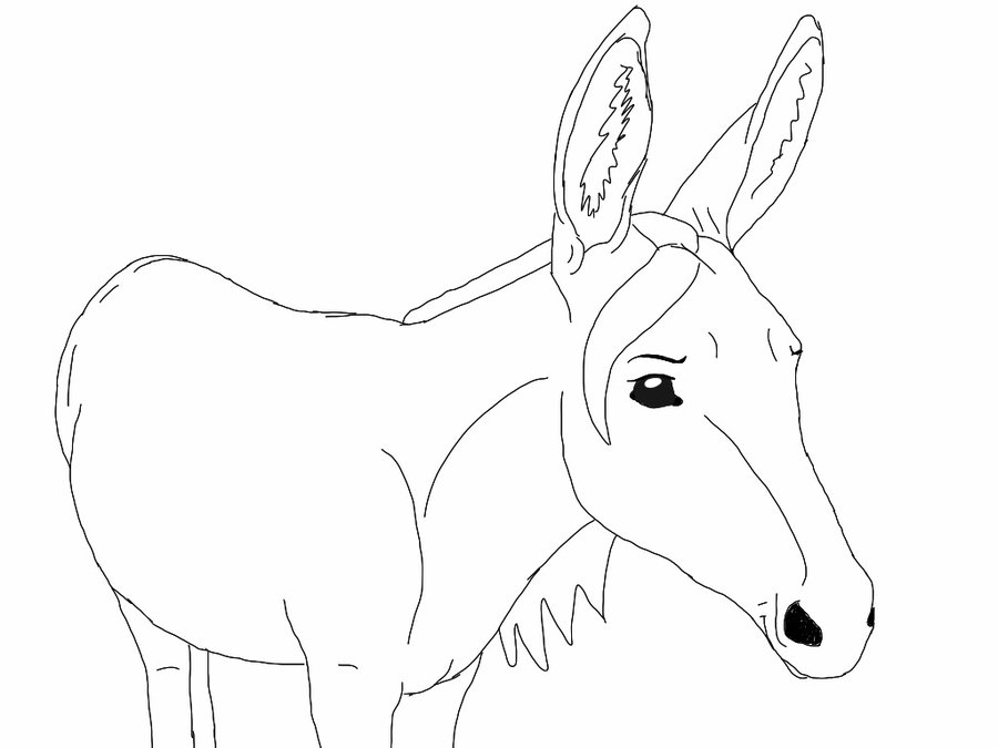 900x675 Donkey Lineart By Lolkitteh98