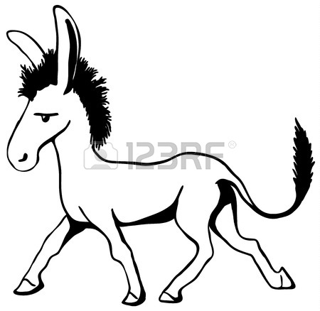 450x438 Donkey Walking Images Amp Stock Pictures. Royalty Free Donkey