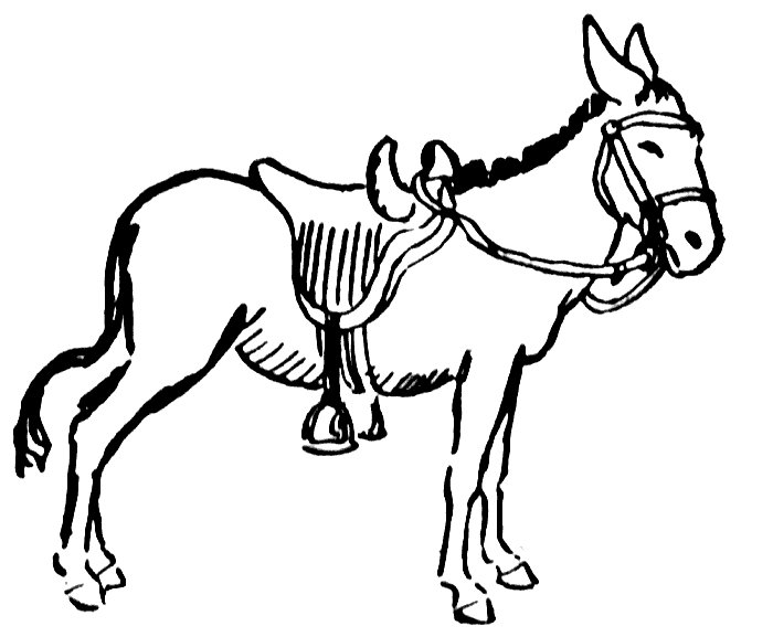 700x577 Donkey Drawing Clipart