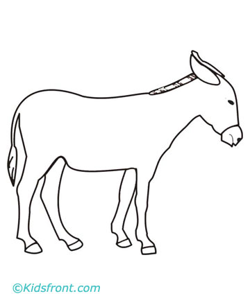 360x440 Animals Names, Birds Names, Pet Names