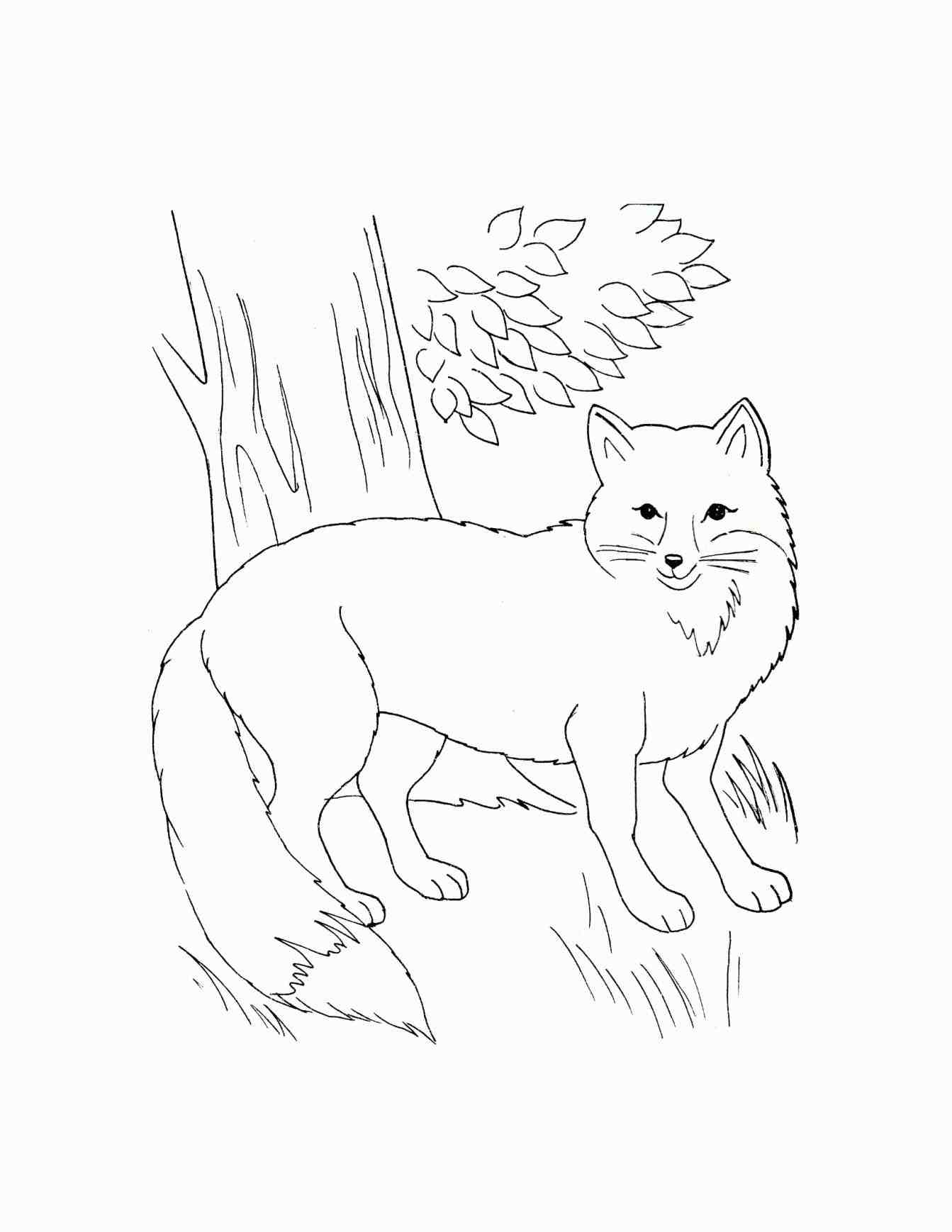 1343x1738 Drawings Drawing Pictures Of Sketch Coloring Pages