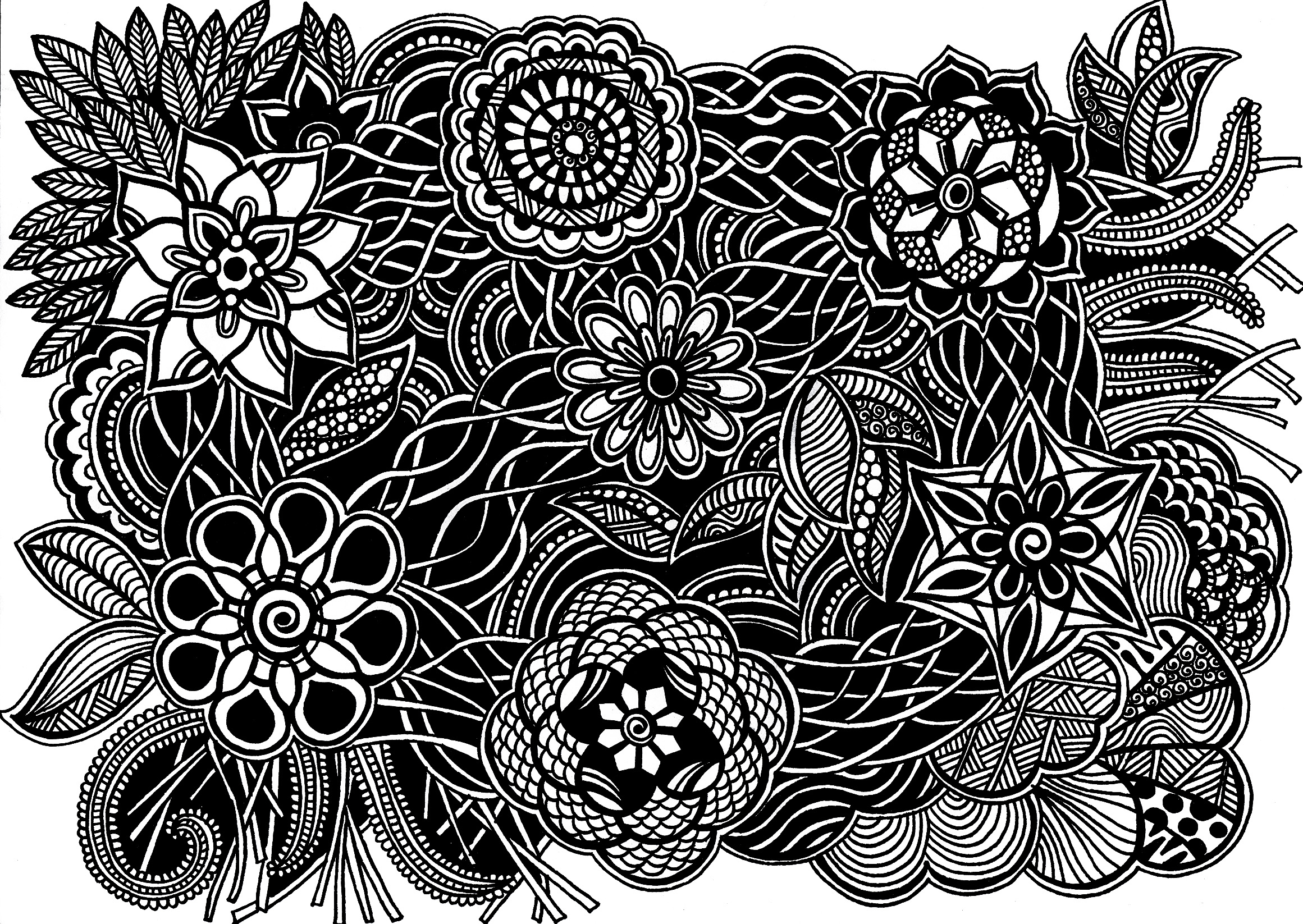 2321x1646 Doodle Art Black And White Foliage