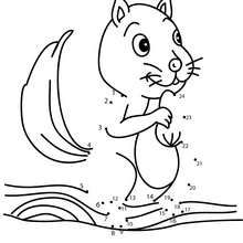 220x220 Squirrel Dot To Dot Game