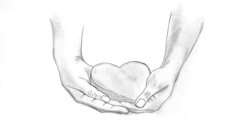 800x491 Double Hearts With Flowers Drawing Gardening Flower And Vegetables