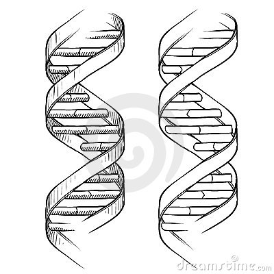 400x400 Dna Double Helix