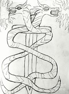 220x300 Black Snake Drawings