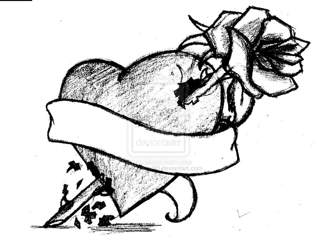 1017x786 Real Heart Drawing Clipart Panda