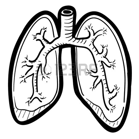 450x450 Doodle Style Dna Double Helix Seamless Vector Background Or Border