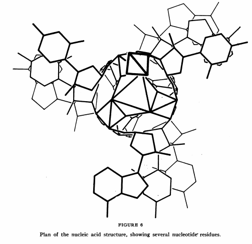 503x487 Book Review The Double Helix