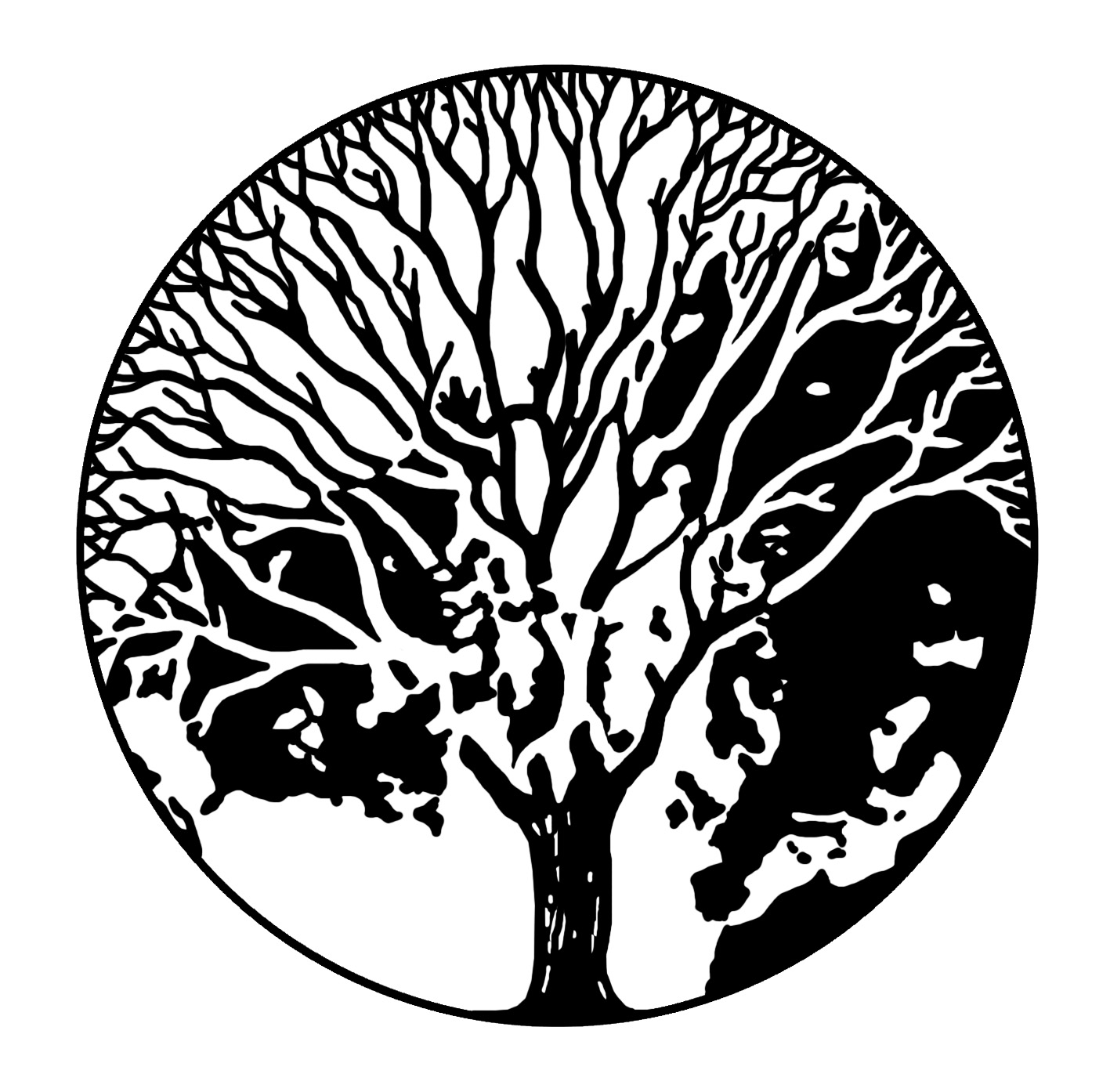 1417x1394 Idri Vegetation Profile Of Douglas Fir