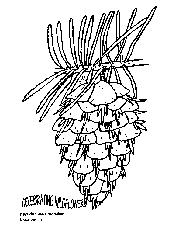 612x799 Umatilla National Forest Parents